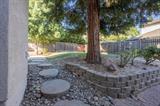 561235441_c8fadb12-86a0-41e6-a491-521465e4af54.jpg