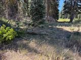 561236729_36db0770-3f76-4488-bd93-60f6e376c775.jpg