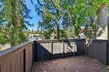 561238638_6185ac13-7720-44b0-964e-8eeb822e2125.jpg