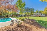 561240824_8873969f-97f9-4142-89cd-2646d82e2787.jpg