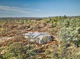 561243842_591d75cc-f861-461c-82dd-154802442ee7.jpg